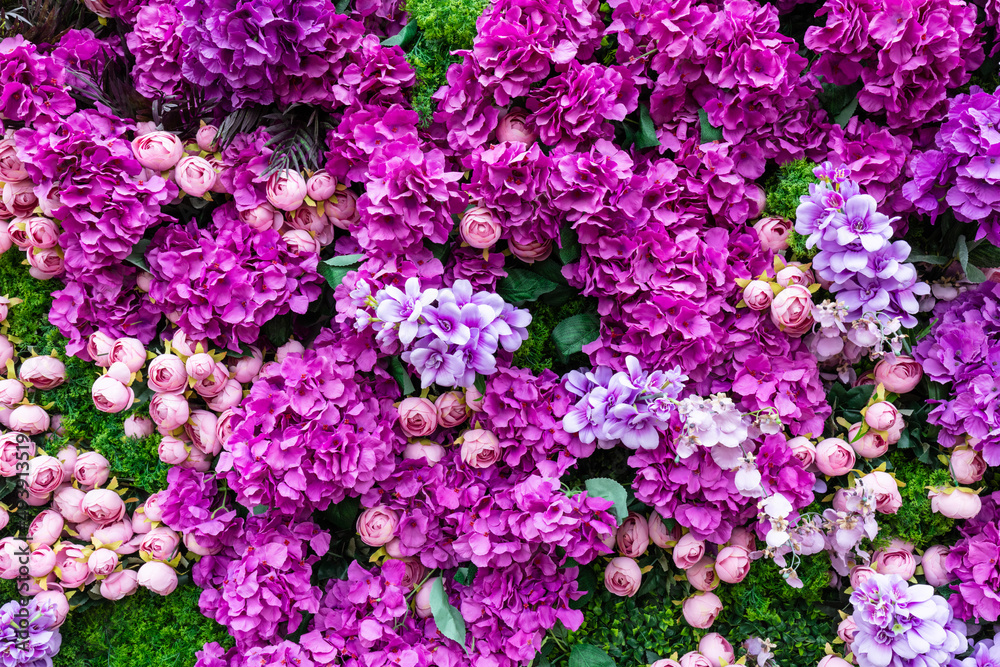Flowers pink roses on green clover wall background Flowers pink roses on green clover wall background