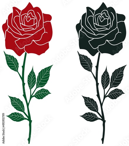 Rose Vektor mit abstrakt gezackten Blättern und Stacheln in rot, dunkel grün und Schwarz.
Weißer isolierter Hintergrund. Farbige und schwarze Variation einer Rose. photo