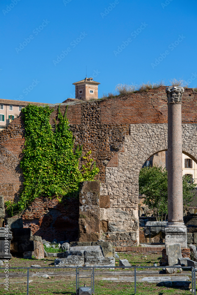 Forum Romanum, view of the ruins of several important ancient  buildings, remains of Basilica Aemilia, Rome, Italy