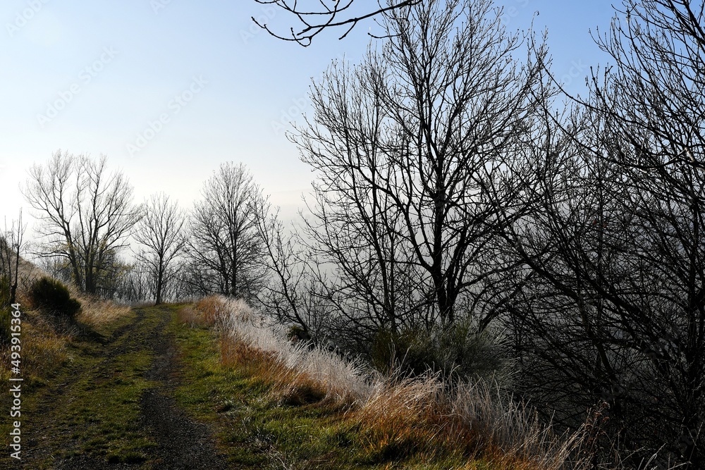 Bord du chemin de randonnée du pic de Solignat par une belle matinée d'hiver avec son fossé recouvert de givre 