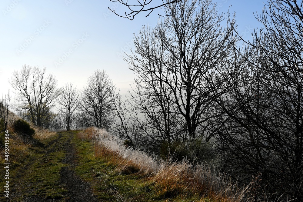 Bord du chemin de randonnée du pic de Solignat par une belle matinée d'hiver avec son fossé recouvert de givre Bord du chemin de randonnée du pic de Solignat par une belle matinée d'hiver avec son fossé recouvert de givre