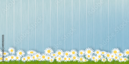 Spring background with Flower grass field on wood wall panel,Vector illustration banner backdrop of Summer nature with chamomiles flowers on blue wooden fence.