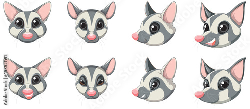 Set of cute sugar glider