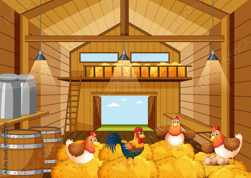 A chicken inside the barn