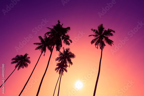 Tropical coconut palm trees silhouettes on beach at sunset with shining sun