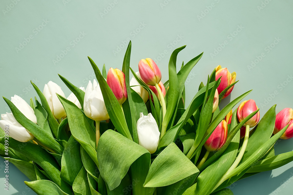 Tulips on green pastel background. Minimal festive floral concept with space for text for Women's day, March 8, Mother's day, Easter, Wedding and other celebration. Spring background. Tulips on green pastel background. Minimal festive floral concept with space for text for Women's day, March 8, Mother's day, Easter, Wedding and other celebration. Spring background.