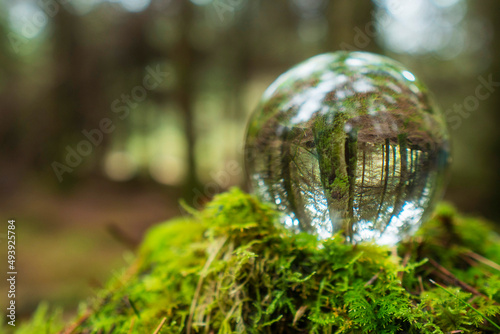Glass ball on a moss in a forest. Trees reflection. Selective focus. Nobody. Abstract nature background