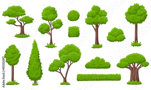 Forest green tree collection. Ecology trees  garden group bushes. Variety simple cartoon nature  gardening plants. Eco  environment garish vector elements