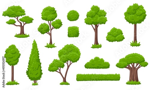 Forest green tree collection. Ecology trees, garden group bushes. Variety simple cartoon nature, gardening plants. Eco, environment garish vector elements