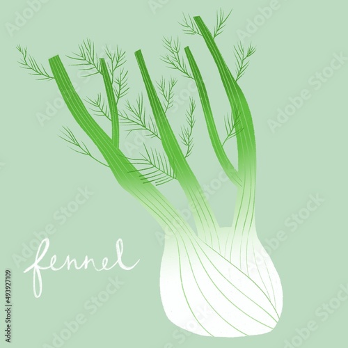 Illustrated Fennel with Lettering