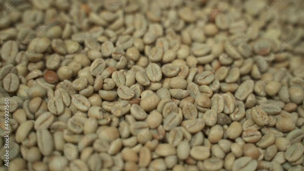 Closeup view of many fresh coffee beans lying in container at modern factory spbas. Unroasted Arabica or Robusta seeds filled with caffeine lie before processing and roasting in workshop without Closeup view of many fresh coffee beans lying in container at modern factory spbas. Unroasted Arabica or Robusta seeds filled with caffeine lie before processing and roasting in workshop without