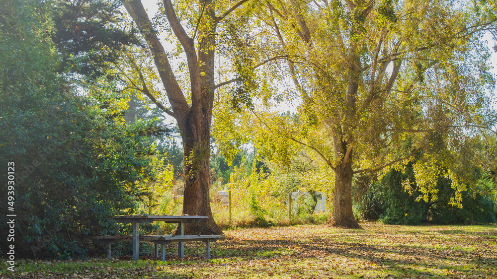 autumn in the park autumn in the park