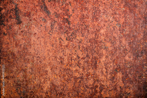 empty rusty metal plate, ol...