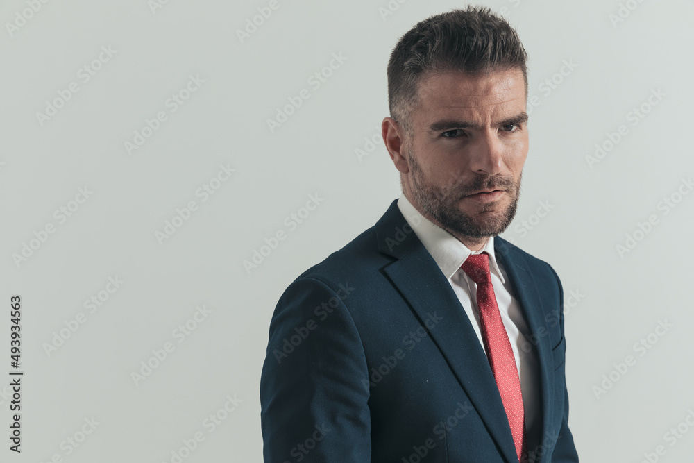 portrait of unshaved guy with red tie wearing elegant suit and looking away portrait of unshaved guy with red tie wearing elegant suit and looking away
