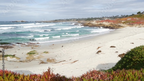 Canvas Print 17-mile drive, Monterey, California USA