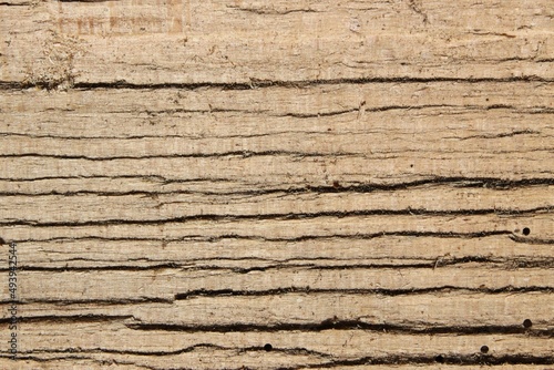 light wood with interesting grain