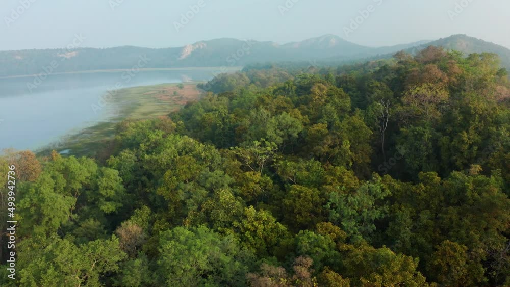 pullback shot from Jungle reservoir and mountains in a Green Indian Jungle pullback shot from Jungle reservoir and mountains in a Green Indian Jungle