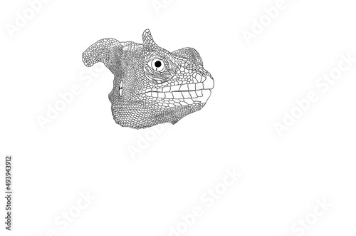 chameleon - iguana head illustrated on white background
