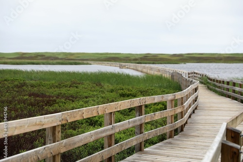 path to the beach