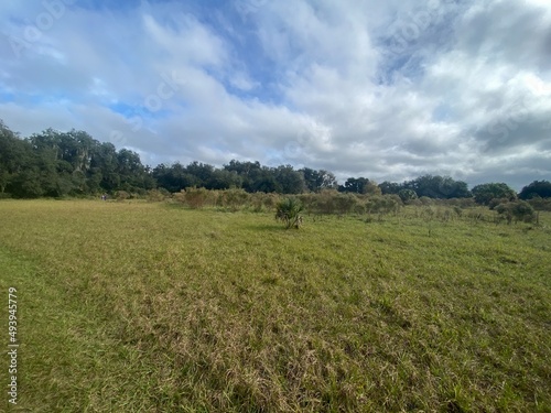 field and blue sky