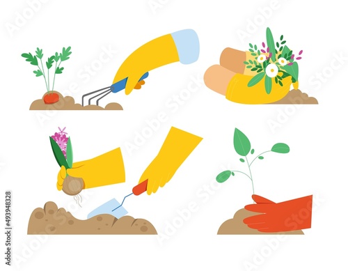 Set of close up hands with gloves doing garden work, planting flowers, seedling during springtime. Vector illustration in flat style