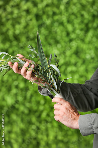 Male hands holding twigs of Sukkot festival symbols on green background photo