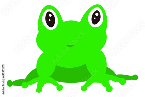 Frog sits cartoon cute animal illustration