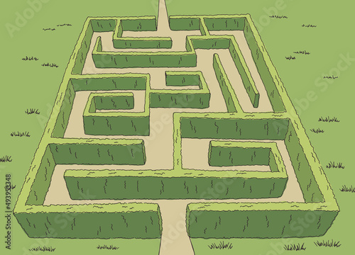 Garden maze bush graphic color sketch top aerial view illustration vector 