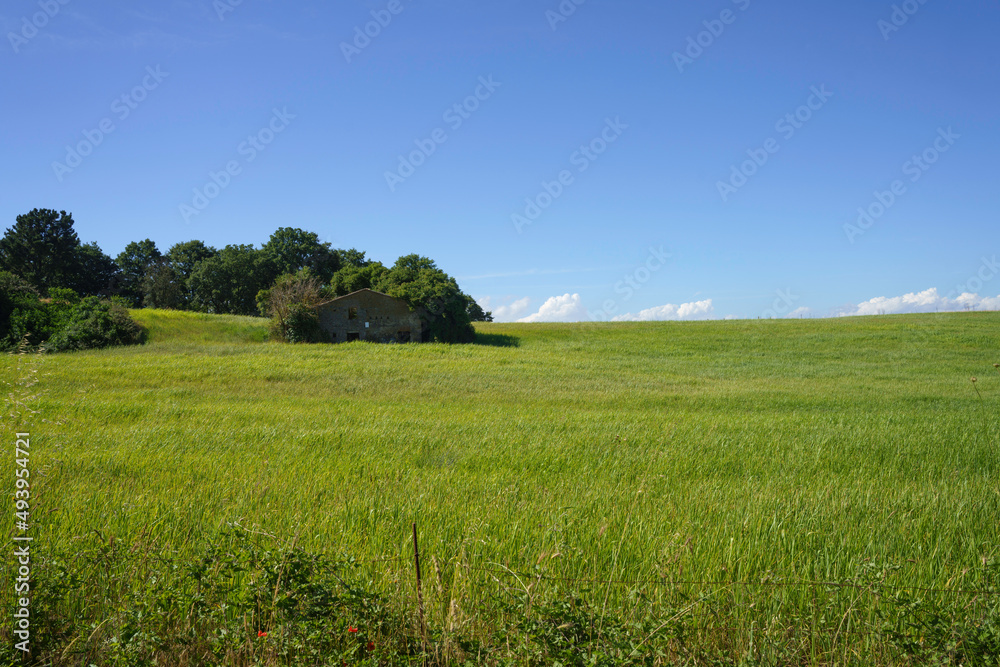 Country landscape near Bagnoregio, Lazio, Italy