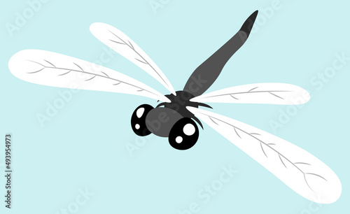 Dragonfly insect cartoon isolated illustration © AlisaArt