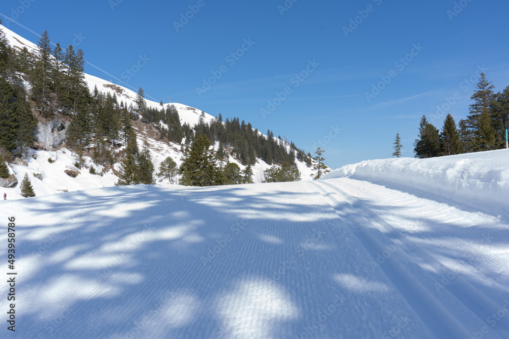 The vacation and excursion region of Schwyz is located in the heart of Switzerland. It is easily and quickly accessible from all directions. Discover unique landscapes, living customs, world-famous 