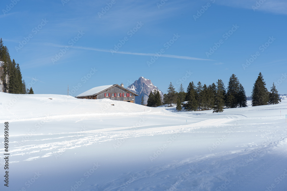 The vacation and excursion region of Schwyz is located in the heart of Switzerland. It is easily and quickly accessible from all directions. Discover unique landscapes, living customs, world-famous 