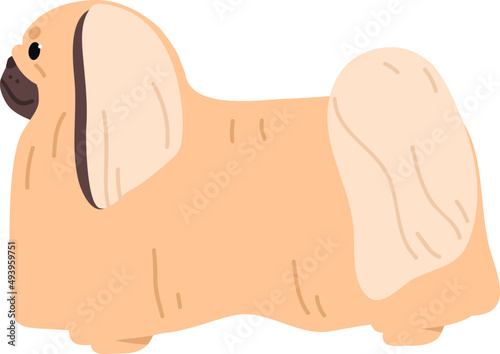 Pekingese or Chinese Spaniel Dog Breed Illustration