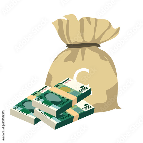 Kyrgyz som Vector Illustration. Kyrgyzstan money set bundle banknotes. Money bag 5000 som. Flat style. Isolated on white background. Simple minimal design.