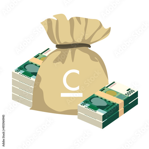 Kyrgyz som Vector Illustration. Kyrgyzstan money set bundle banknotes. Money bag 5000 som. Flat style. Isolated on white background. Simple minimal design.