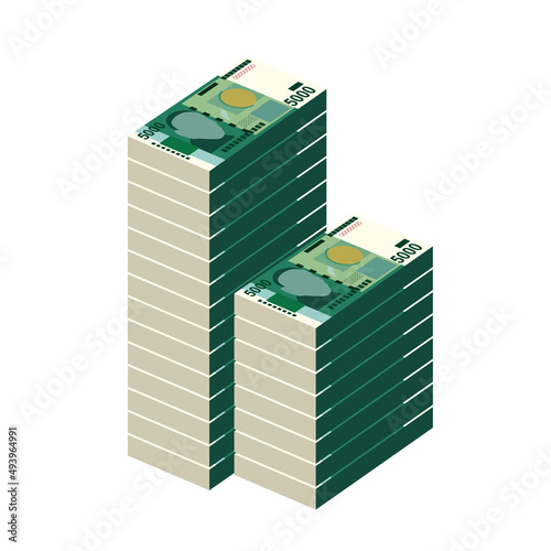 Kyrgyz som Vector Illustration. Kyrgyzstan money set bundle banknotes. Paper money 5000 som. Flat style. Isolated on white background. Simple minimal design.