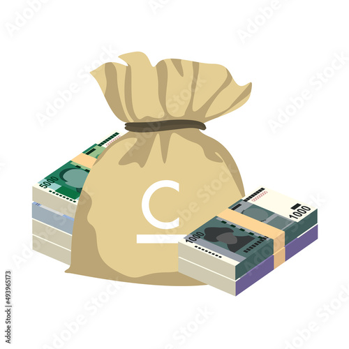 Kyrgyz som Vector Illustration. Kyrgyzstan money set bundle banknotes. Money bag 500, 1000, 2000, 5000 som. Flat style. Isolated on white background. Simple minimal design.