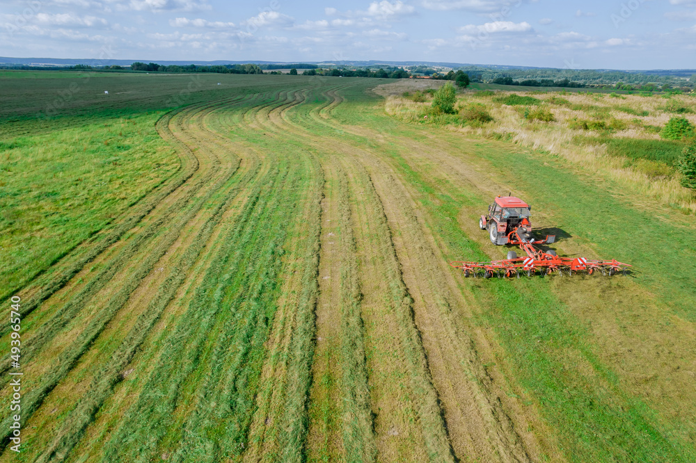 A red tractor rakes a mown grass to dry. Modern equipment on the field. View from above. A red tractor rakes a mown grass to dry. Modern equipment on the field. View from above.