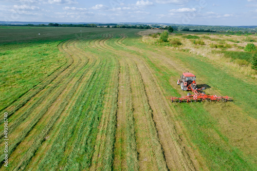 A red tractor rakes a mown grass to dry. Modern equipment on the field. View from above.