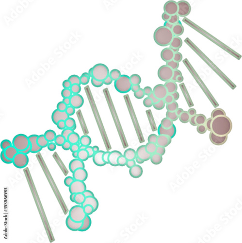Helical structure of biological gene chain
