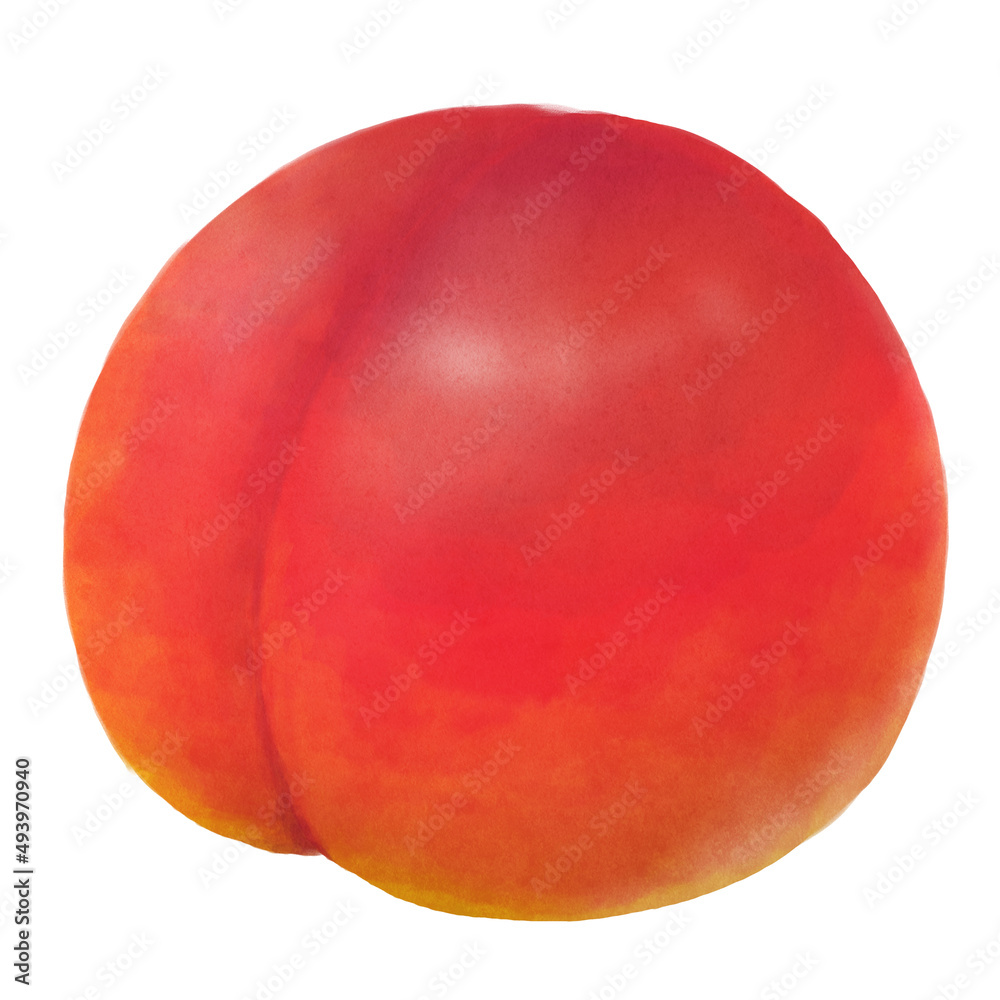 Fototapeta premium すもも