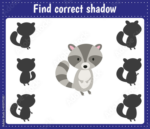Find the correct shadow. Raccoon. Animals