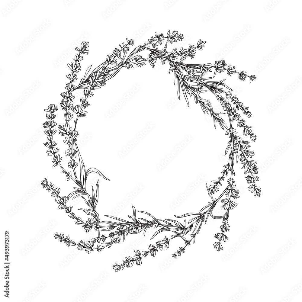Beauty lavender wreath with leaves in outline sketch style, vector illustration isolated on white background.