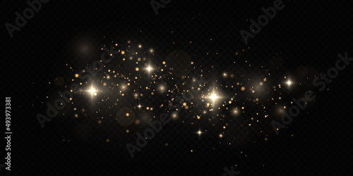 Golden confetti and glitter texture on black background. Sparkling space magical dust particles. Christmas concept.