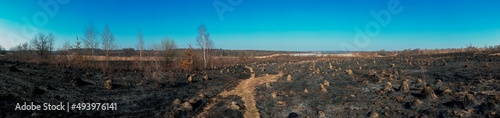 Panorama of the fire-scorched landscape  the consequences of hostilities