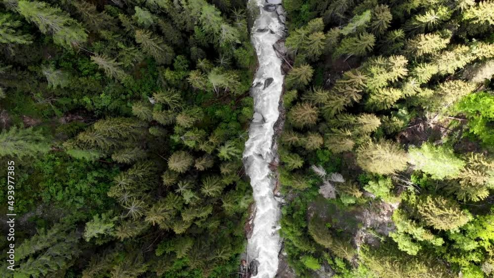 Top down aerial flyover over the Rhone river valley in Valais, Switzerland with a hiker walking across the Goms suspension bridge high up above river and trees