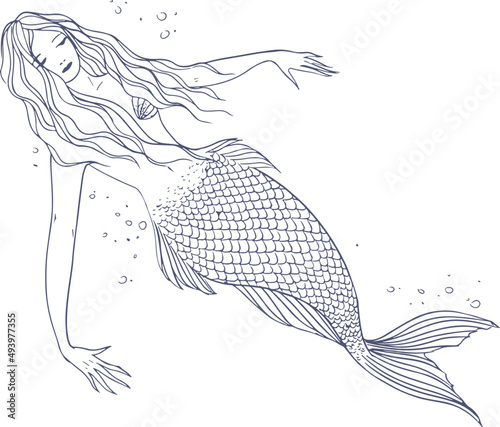 Mermaid Mythical Creature Hand Drawn Contour Illustration