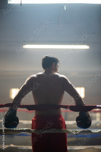 Fototapeta Naklejka Na Ścianę i Meble -  Tired athletic sportsman in boxing gloves standing at ropes of ring and looking down. Young shirtless man waiting for fight. Championship concept