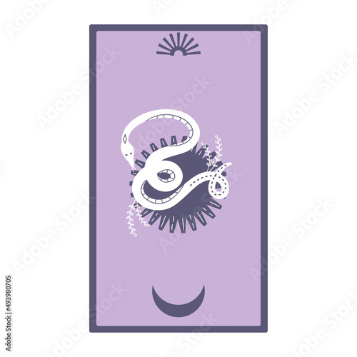 Tarot cards with sun and snakes isolated on a white background. Celestial magic for occult and divination. Purple minimalism cards. Serpent with moon. Flat vector illustration.