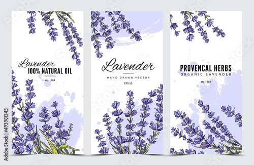Lavender flowers and natural oil posters set in hand drawn sketch style, vector illustration.